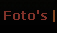 Foto's